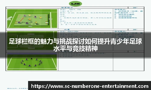 足球栏框的魅力与挑战探讨如何提升青少年足球水平与竞技精神